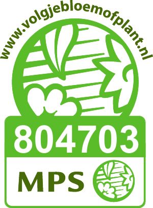 Logo MPS