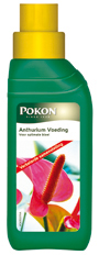 Pokon Anthurium Voeding 250ml